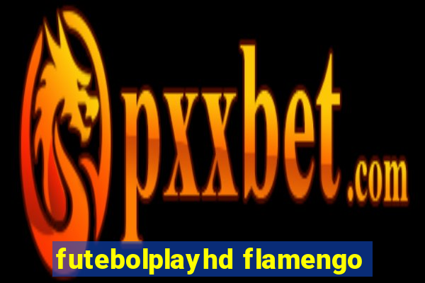 futebolplayhd flamengo